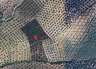Finca rústica a Martos. Venta finca olivar proxima a martos