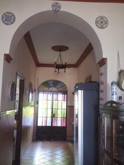 Rent House in El Rocío. Alquiler de casa en el rocio desde 950