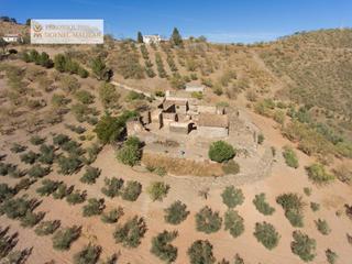 Mas  De los montes. Finca rúst. en venta en montes de málaga.