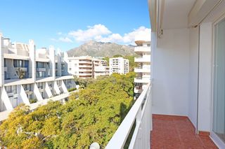 Flat in Casco Antiguo