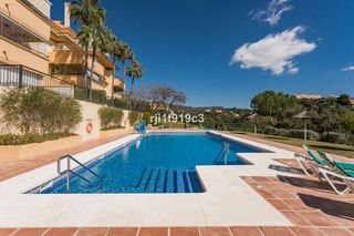 Pis a Elviria