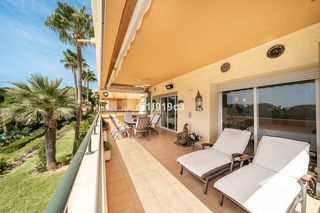Pis a Elviria