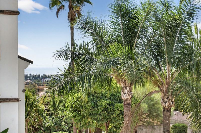 Foto 7df941b5-bc85-48ca-94c7-016e1df9018a. Piso en Sierra Blanca Marbella