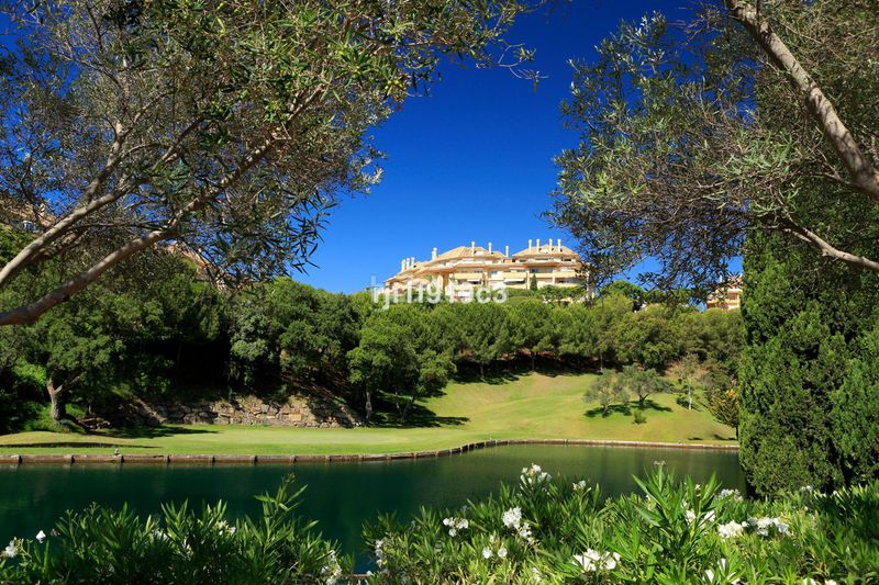 Foto 56c1d601-aa28-454f-b77e-ea6fc6c6ab31. Pis a Elviria Marbella