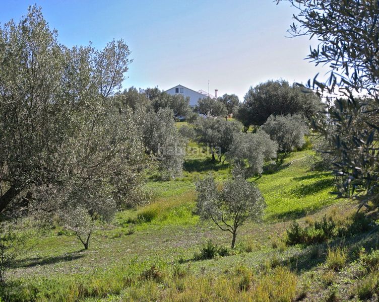 Foto e629e839-8d92-42a2-ac32-45d5d7f210d2. Casa adosada en Elviria Marbella