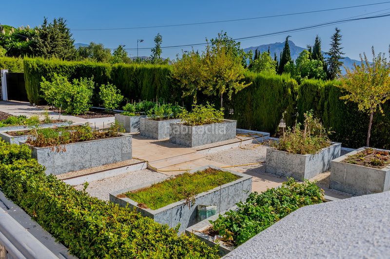 Foto e70e8a99-a115-43a1-bab0-adb12d3fc832. Casa adossada amb aparcament a Guadalmina Alta Marbella