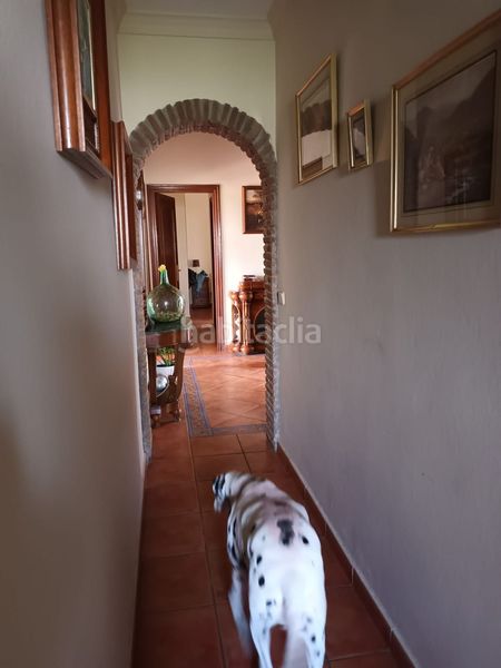 Foto b48b96a8-62dd-4598-a94b-fb10fc65e88a. Casa adossada a Cancelada Estepona