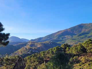 Terreno residencial en La Zagaleta