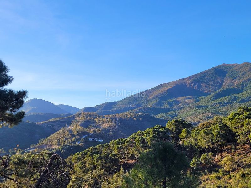 Foto c024cad1-56a3-400f-a88e-2bdd249153c7. Terreny residencial a La Zagaleta Benahavís