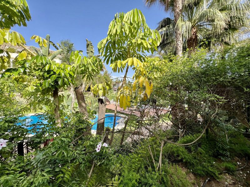 Foto 11faf184-9e09-44a2-b68e-6fc4b83514ee. Pis a La Carolina - Guadalpín Marbella