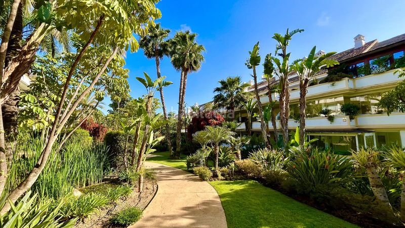 Foto bd03c9ca-c8fb-48d1-a21f-d5350400fc23. Pis a La Carolina - Guadalpín Marbella