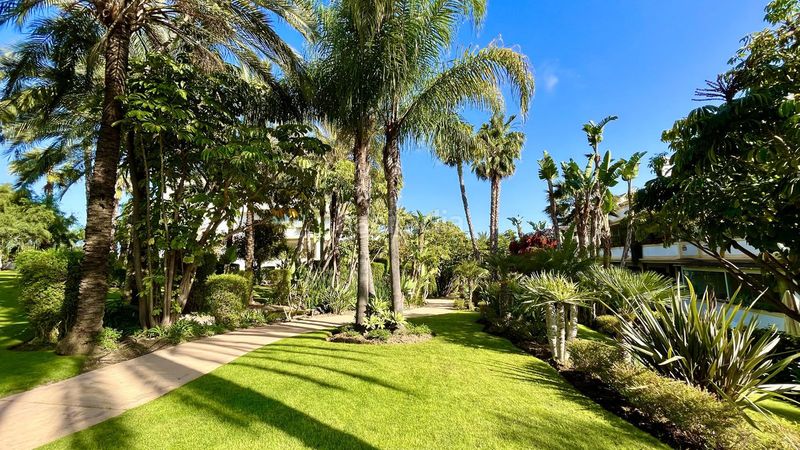 Foto f2dd9b8b-d25e-4b96-967f-156c8ed81294. Pis a La Carolina - Guadalpín Marbella