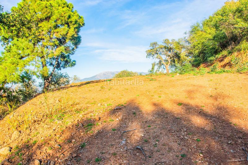 Foto 8b464feb-7ae8-49af-8cb7-a26cbea1b4d7. Casa adossada a La Mairena Ojén