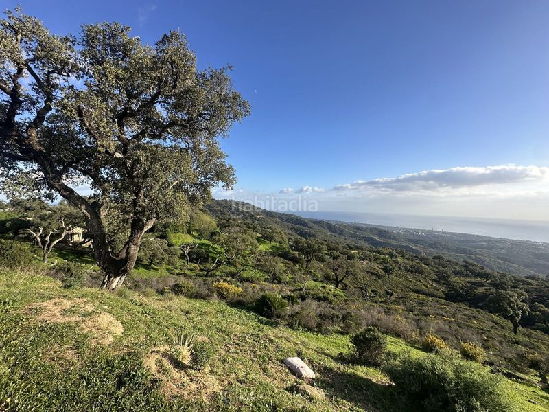 Foto 3888fd30-d2b2-404f-9e96-2abd42c4d07f. Terreny residencial a La Mairena Ojén