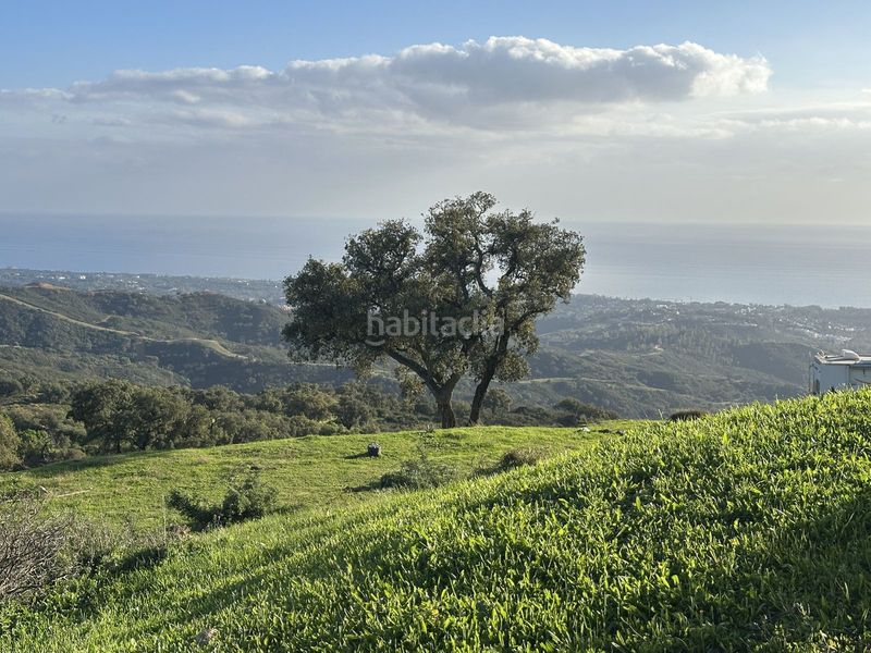 Foto 95e7ed62-0c6f-4a52-8b2c-c39b71291fce. Terreny residencial a La Mairena Ojén