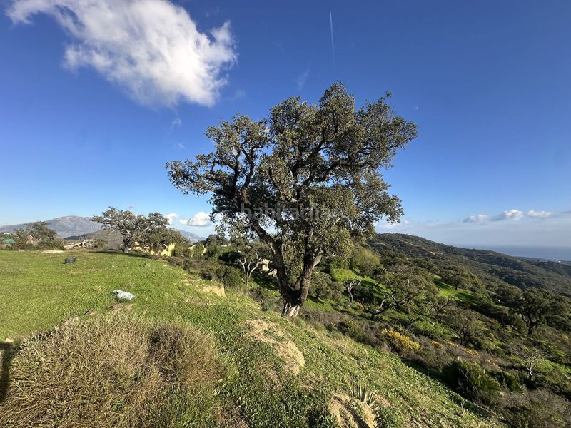 Foto a1409ade-62d9-4d4c-a78e-43b010c24f3b. Terreny residencial a La Mairena Ojén