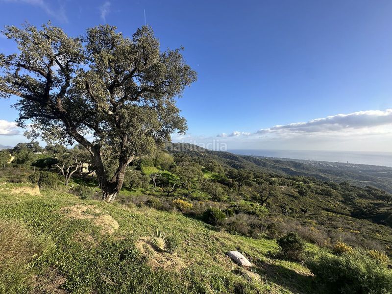 Foto a3a42d7c-ac6b-4f50-89b9-cc4ee15d7629. Terreny residencial a La Mairena Ojén