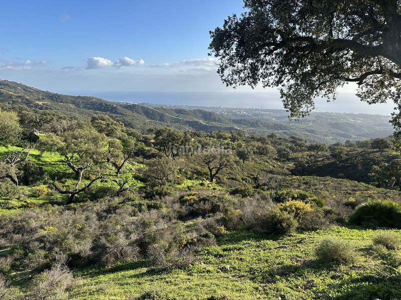 Foto caef0165-0d22-4191-8d96-70615381ba70. Terreny residencial a La Mairena Ojén