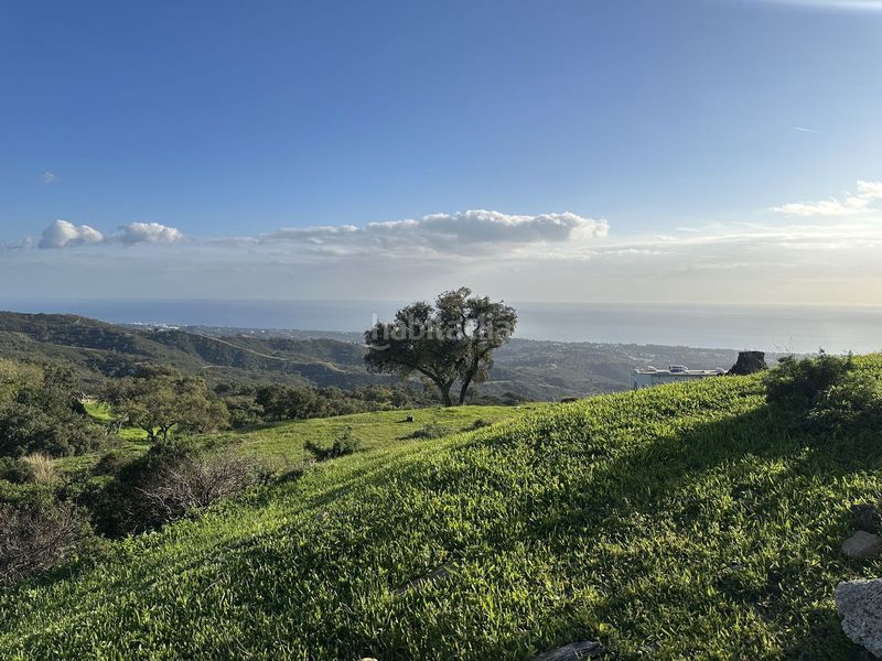 Foto f2cce2dd-f940-4e37-8d36-3e1b0c5dfc11. Terreny residencial a La Mairena Ojén