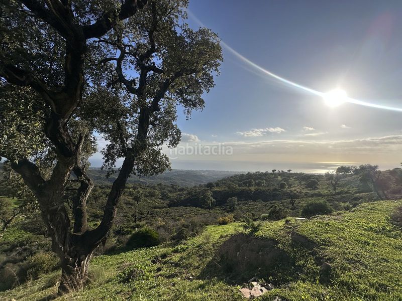 Foto f6a800cc-f7ca-4b8d-8cb7-db6b52925b28. Terreny residencial a La Mairena Ojén