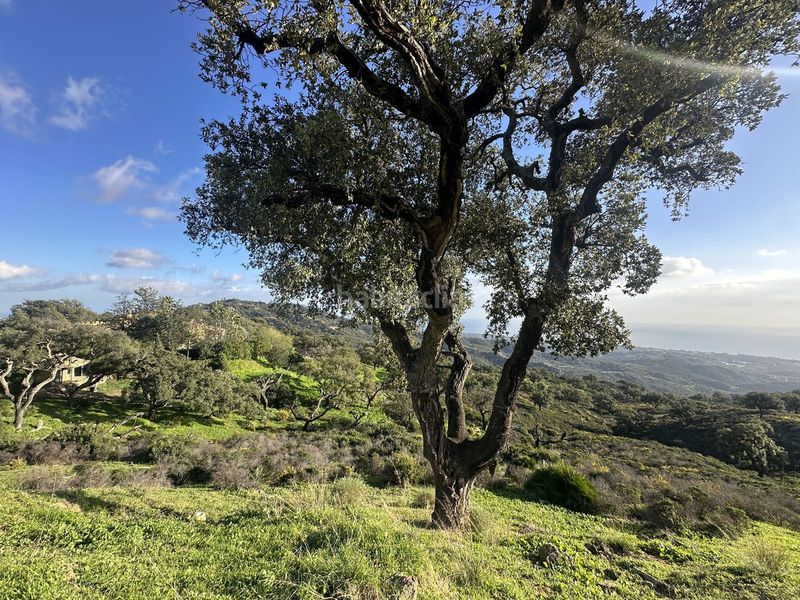 Foto fc8d16e1-bbce-430e-b1e3-27396f72210f. Terreny residencial a La Mairena Ojén