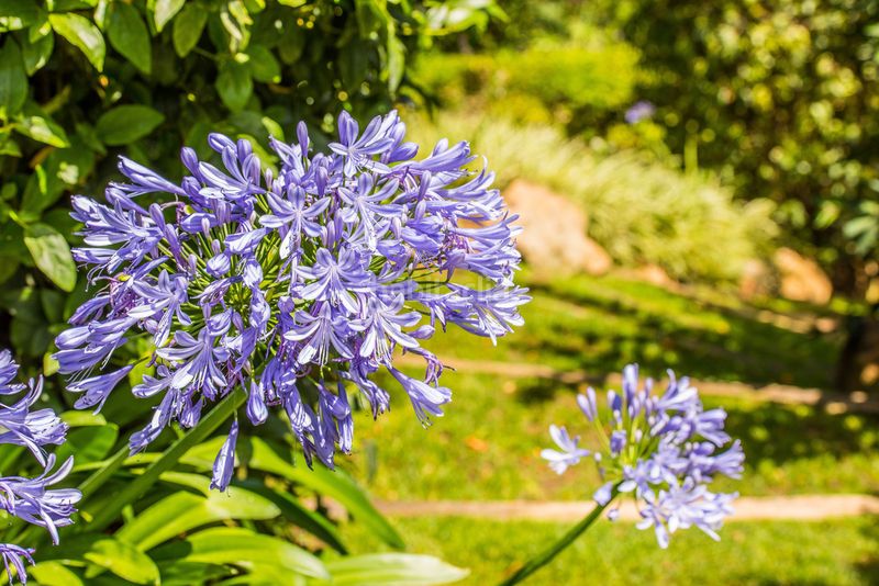 Foto fa77272d-2fdc-433d-90e6-79b3a4cf425c. Casa adossada a La Zagaleta Benahavís