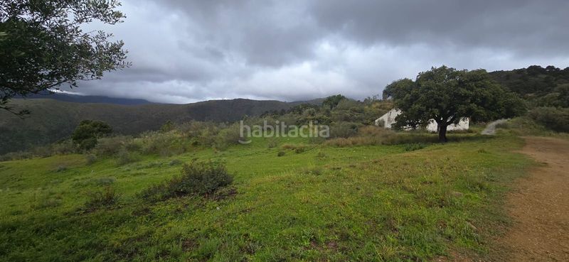 Foto 4f5a35e0-84f1-4721-822b-4466b8dee087. Terreny residencial a Benahavís pueblo Benahavís