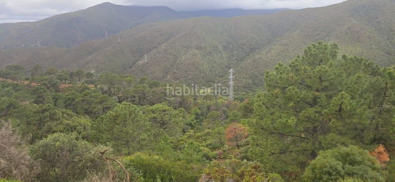 Foto e83fa906-a027-4a87-a017-02b84022a170. Terreny residencial a Benahavís pueblo Benahavís