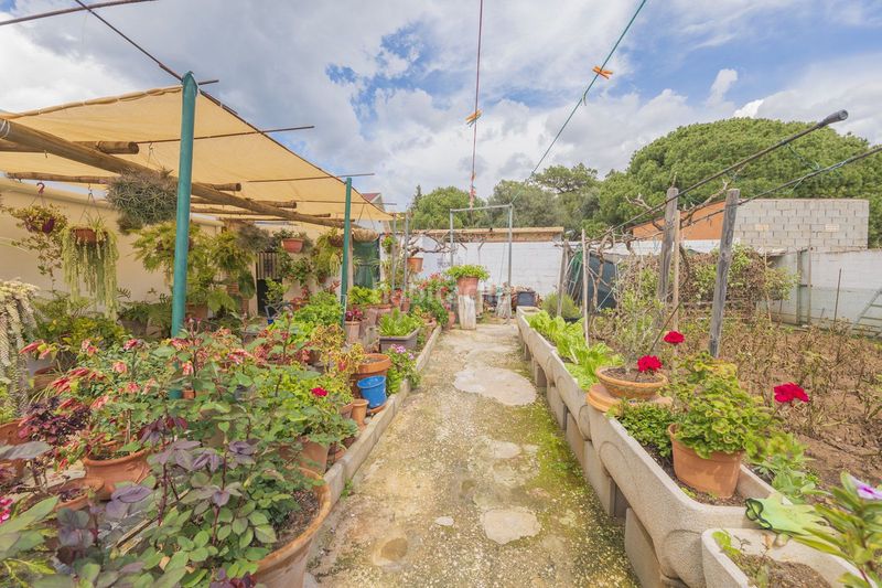 Foto 42f289f5-9dce-4c3e-b4a8-7b44f713ec77. Casa adossada a Las Chapas - Alicate Playa Marbella