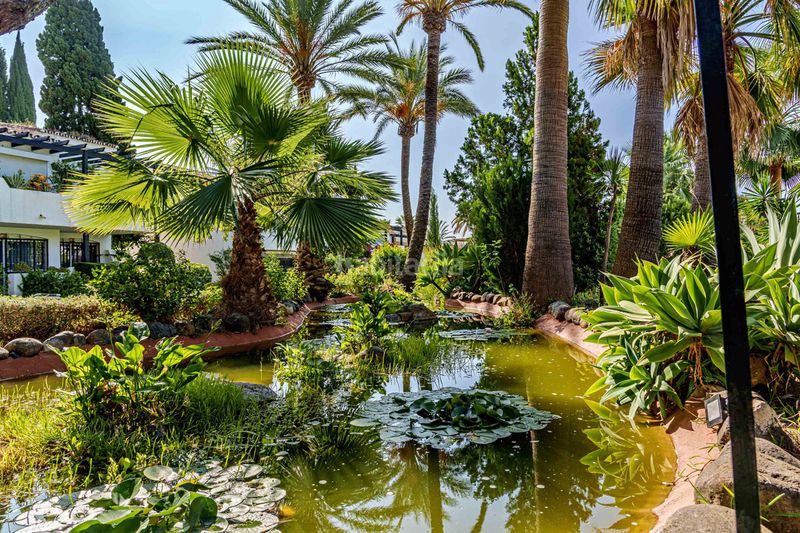 Foto f1781bcb-2959-4e55-92ee-c0b10f7cbcf6. Pis a Sierra Blanca Marbella