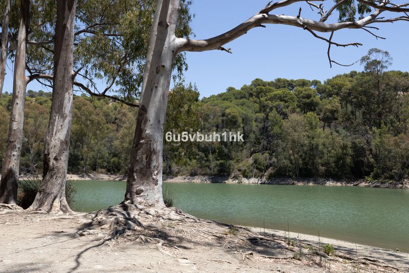 Foto b3f4d7fd-aa2c-4265-8368-0caa552da236. Pis a Casco Antiguo Marbella