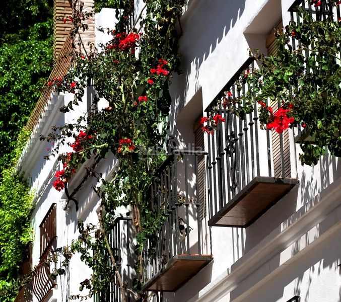 Foto d9d4ec04-9e7c-4764-811c-0b62e2cb4aa1. Casa adossada a Casco Antiguo Marbella
