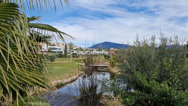 Foto 905ed026-55c6-430e-8b3c-512394e877c2. Terreny residencial a Centro Estepona