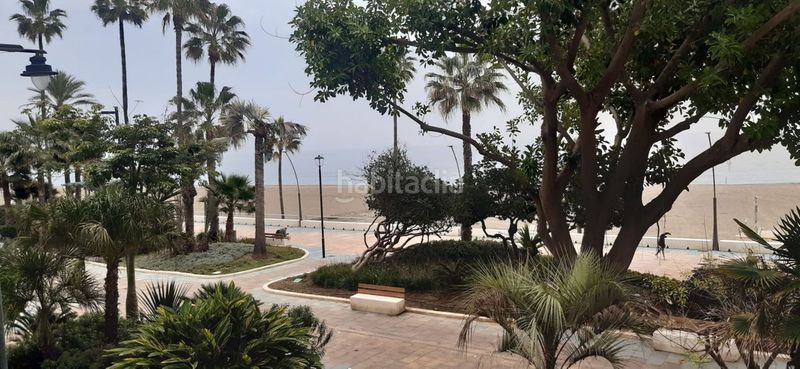 Foto 4878e83c-5827-4f92-89f5-ff76b12b0def. Pis a Centro Estepona