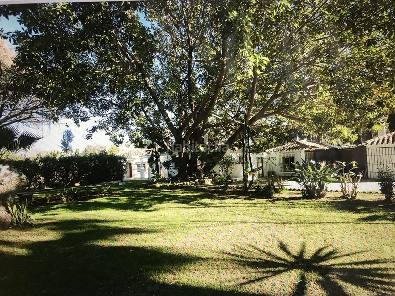 Foto d50165ae-48f2-4d5c-8390-671bf0a6f35c. Casa adossada a Guadalmina Baja Marbella