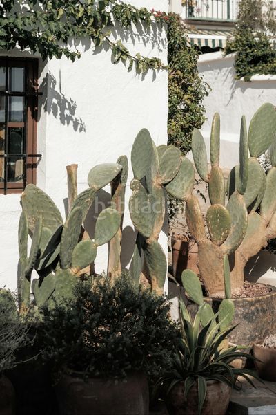 Foto ba8f5358-868d-413b-b4cd-958f1f0a60b3. Casa adossada a Las Brisas Marbella