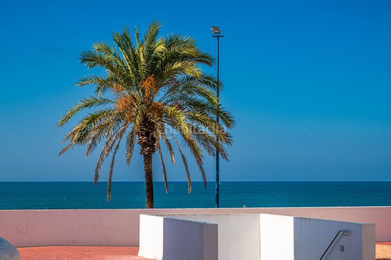 Foto 0a097bd2-c895-4355-a957-ce72b9b5c2bd. Apartament a La Barrosa Chiclana de la Frontera