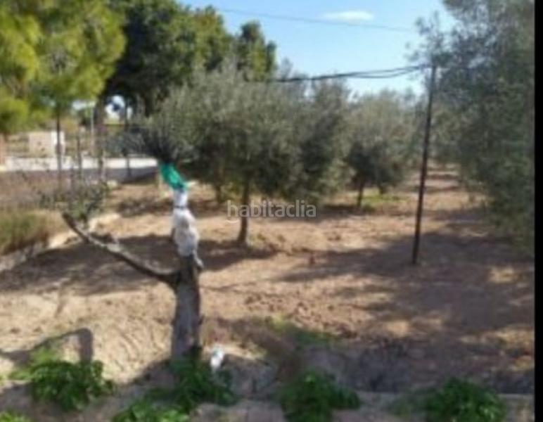 Foto d2967779-6fdb-45aa-b6cd-4018c2352ac2. Chalet mit kamin pool in Jubalcoi Elche / Elx