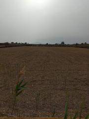 Fondo rustico  Partida daimes