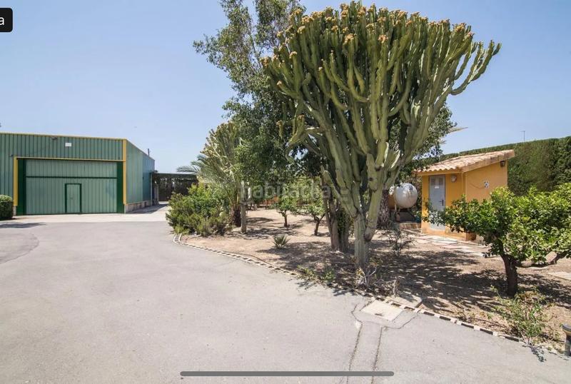 Foto 3a428a76-c0e2-49e1-b6dd-faae13aa57f7. Chalet  de lujo con nave de 400 m y piscina , barbacoa etc en Elche / Elx