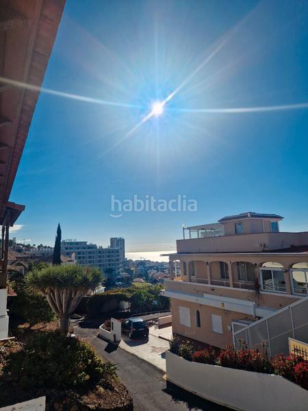 Foto 36f25c31-ed9b-47a6-9edc-79dfde4674fc. Pis a Zona Botánico Puerto de la Cruz