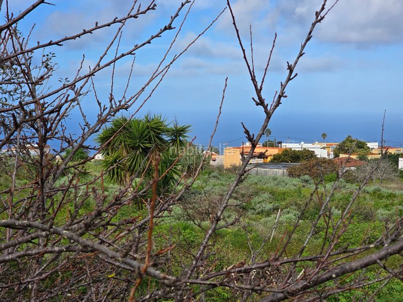 Foto 0dae9268-a205-4cd4-b8d3-e885afa63c28. Finca rústica a callejón grande 1 27c a Guayonje - Mesa del Mar Tacoronte