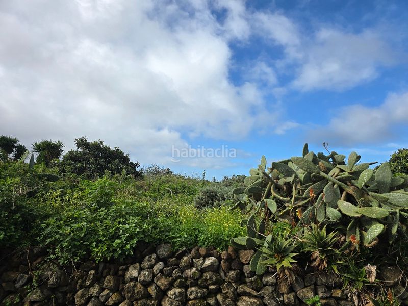 Foto 1ca4d293-b2ff-4d7d-b702-6da4afb754fd. Finca rústica a callejón grande 1 27c a Guayonje - Mesa del Mar Tacoronte