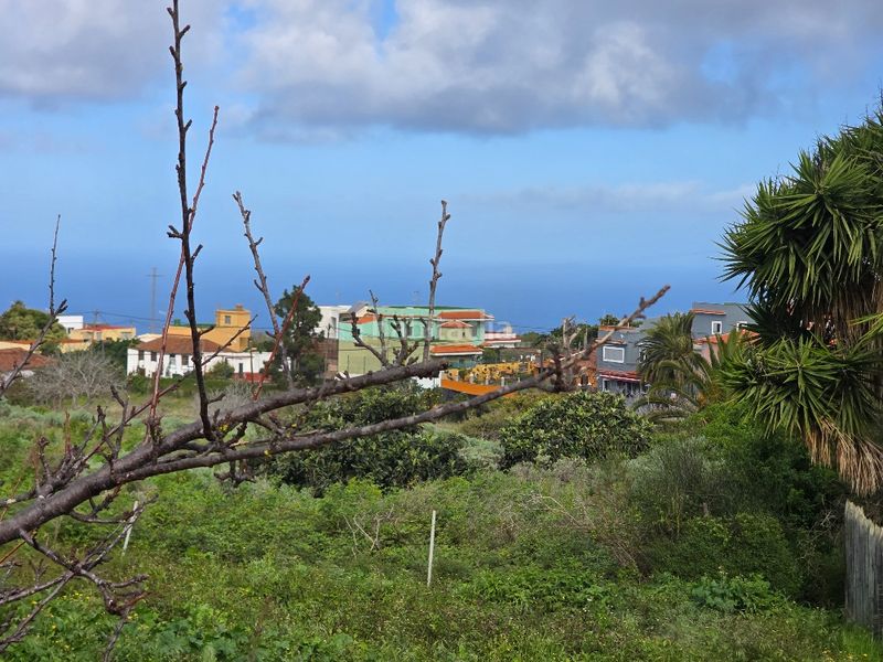 Foto 3997a1e1-21bf-4588-beea-fdc01e7c2678. Finca rústica a callejón grande 1 27c a Guayonje - Mesa del Mar Tacoronte