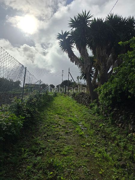 Foto 49f7caad-2c36-48e4-bf39-b41104ab4085. Finca rústica a callejón grande 1 27c a Guayonje - Mesa del Mar Tacoronte