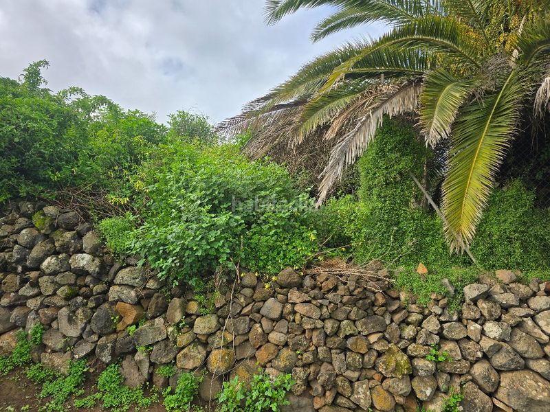 Foto 4a30488c-f7fc-46ae-9056-c3593eaa64dc. Finca rústica a callejón grande 1 27c a Guayonje - Mesa del Mar Tacoronte