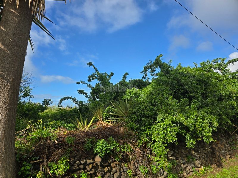 Foto 8d91d59b-41c8-4abf-8abe-f808d42aa622. Finca rústica a callejón grande 1 27c a Guayonje - Mesa del Mar Tacoronte