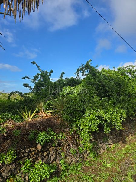 Foto 9425b30c-8c94-4a94-bccd-b3c70f7d1b7d. Finca rústica a callejón grande 1 27c a Guayonje - Mesa del Mar Tacoronte