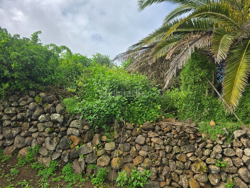 Foto e82135e5-a9a5-4403-b2ab-5eb0302bdaed. Finca rústica a callejón grande 1 27c a Guayonje - Mesa del Mar Tacoronte