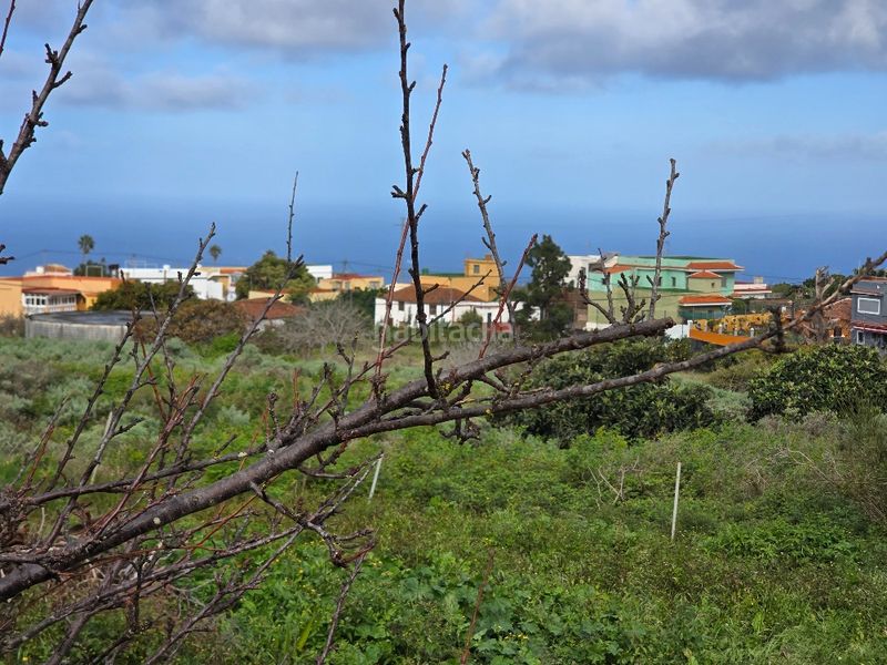 Foto ef90404b-c9f7-44c7-b716-3574cd79d3bf. Finca rústica a callejón grande 1 27c a Guayonje - Mesa del Mar Tacoronte